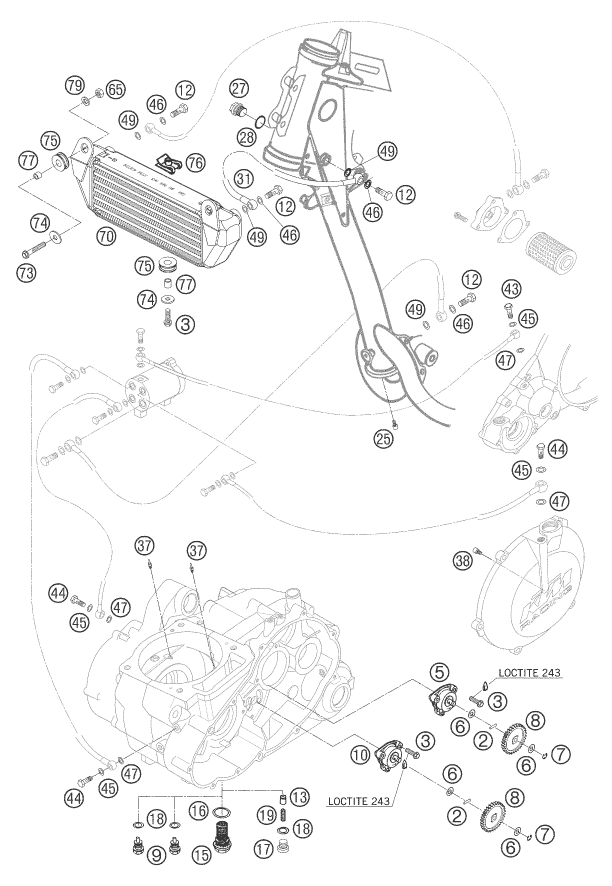 SYSTEME DE LUBRIFICATION POUR 660 RALLY FACTORY REPLICA 2007 EU