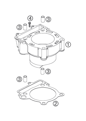 CYLINDRE POUR 250 EXC-F 2008 (EU)