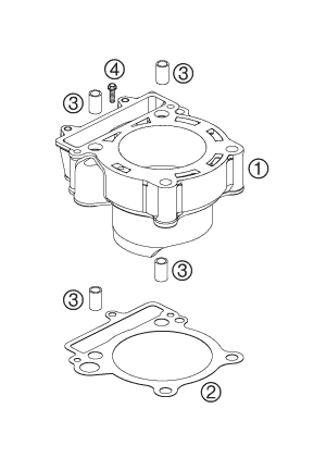 CYLINDRE POUR 250 SXS F 2007 EU