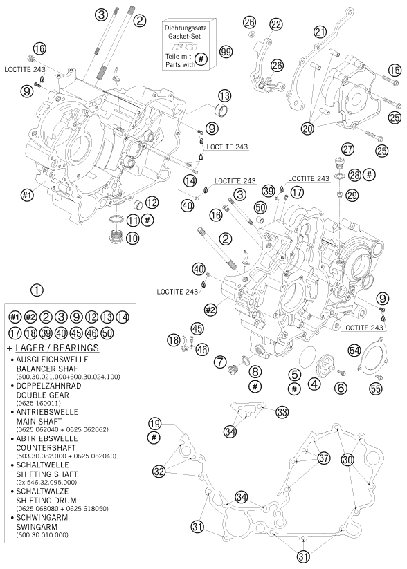 CARTER MOTEUR POUR 950 SUPER ENDURO ERZBERG 08 EU