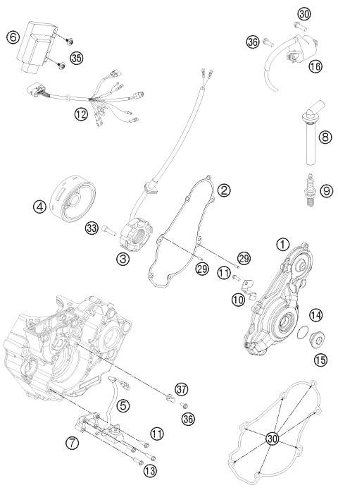 SYSTEME DE ALLUMAGE POUR 450 SMR 2012 EU