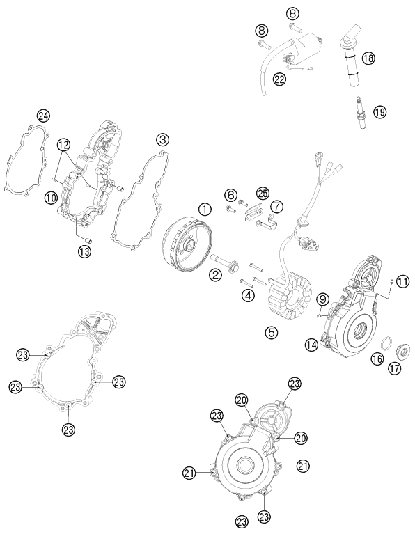 SYSTEME DE ALLUMAGE POUR FREERIDE 350 2012 (EU)