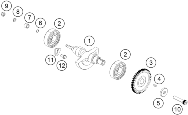 ARBRE DEQUILIBRAGE POUR 250 DUKE BL. ABS B.D. 15 (EU)