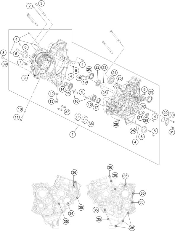 CARTER MOTEUR POUR RC 250 R 2013 EU