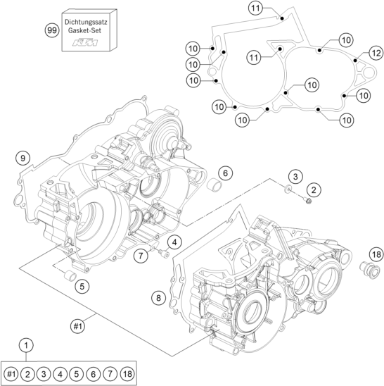 CARTER MOTEUR POUR FREERIDE 250 R 2016 (EU)