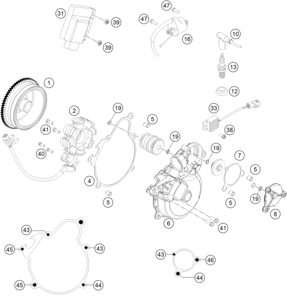 SYSTEME DE ALLUMAGE POUR FREERIDE 250 R 2015 (EU)