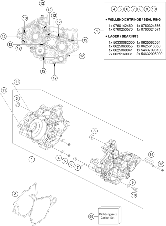 CARTER MOTEUR POUR 125 SX 2021 (EU)