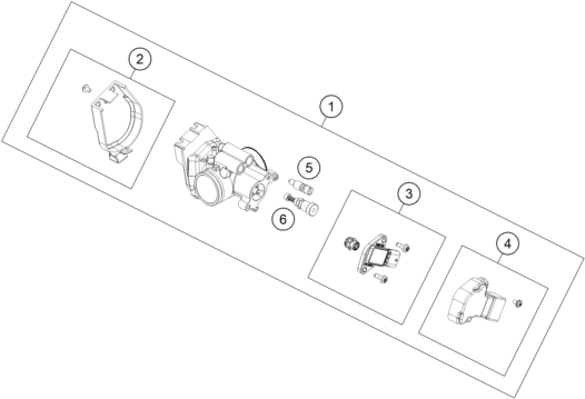 CORPS DU CLAPET DETRANGLEMENT POUR 250 EXC SIX DAYS TPI 2020 (EU)