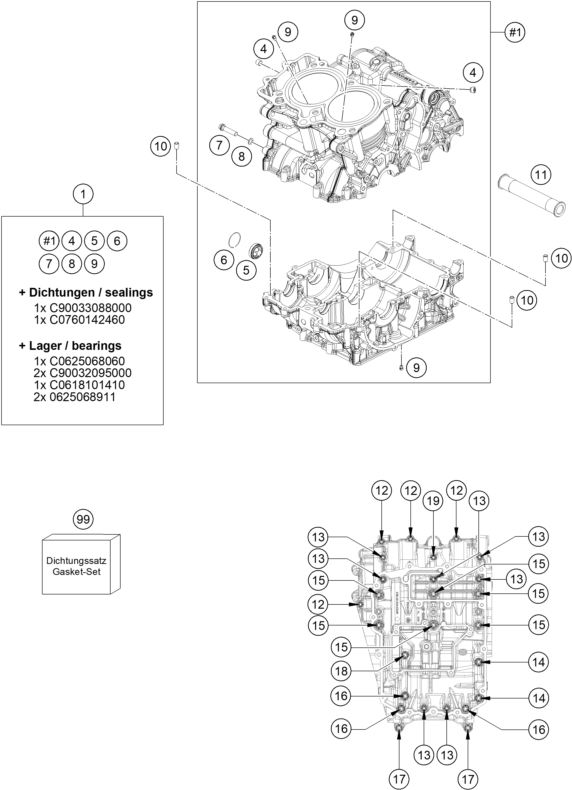 CARTER MOTEUR POUR 790 DUKE GREY DIRECT DELIVERY 2023 EU