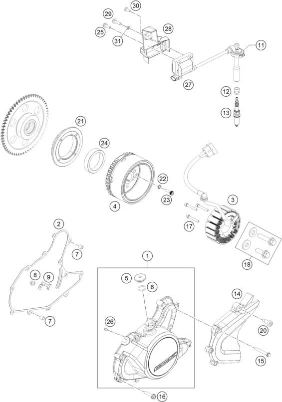 SYSTEME DE ALLUMAGE POUR RC 125 BLACK - B.D. 2022