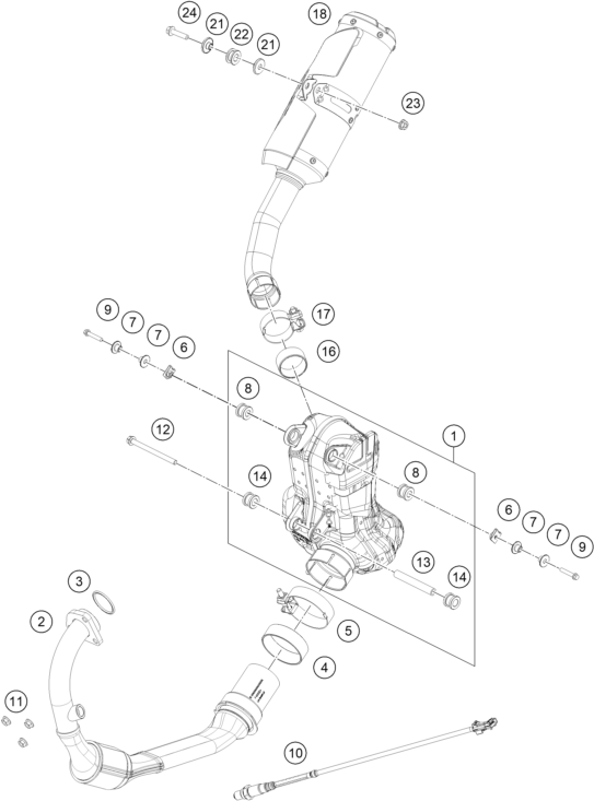 SYSTEME DECHAPPEMENT POUR RC 125 WHITE - B.D. 2023 (EU)