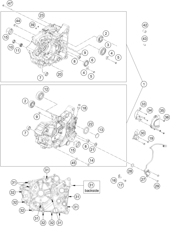 CARTER MOTEUR POUR 125 DUKE BLUE NHD BD 2024 EU