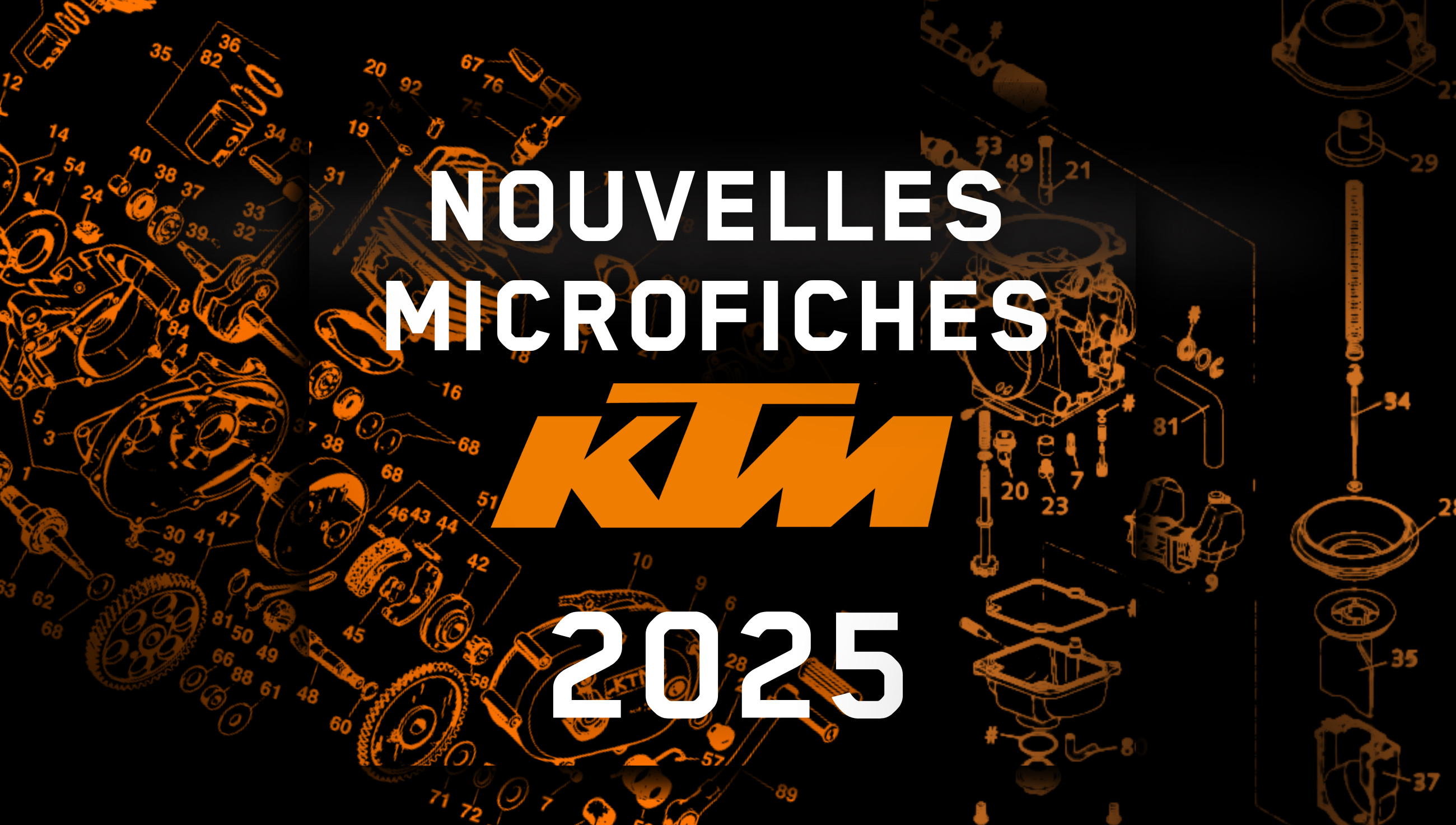Nouvelle microfiches